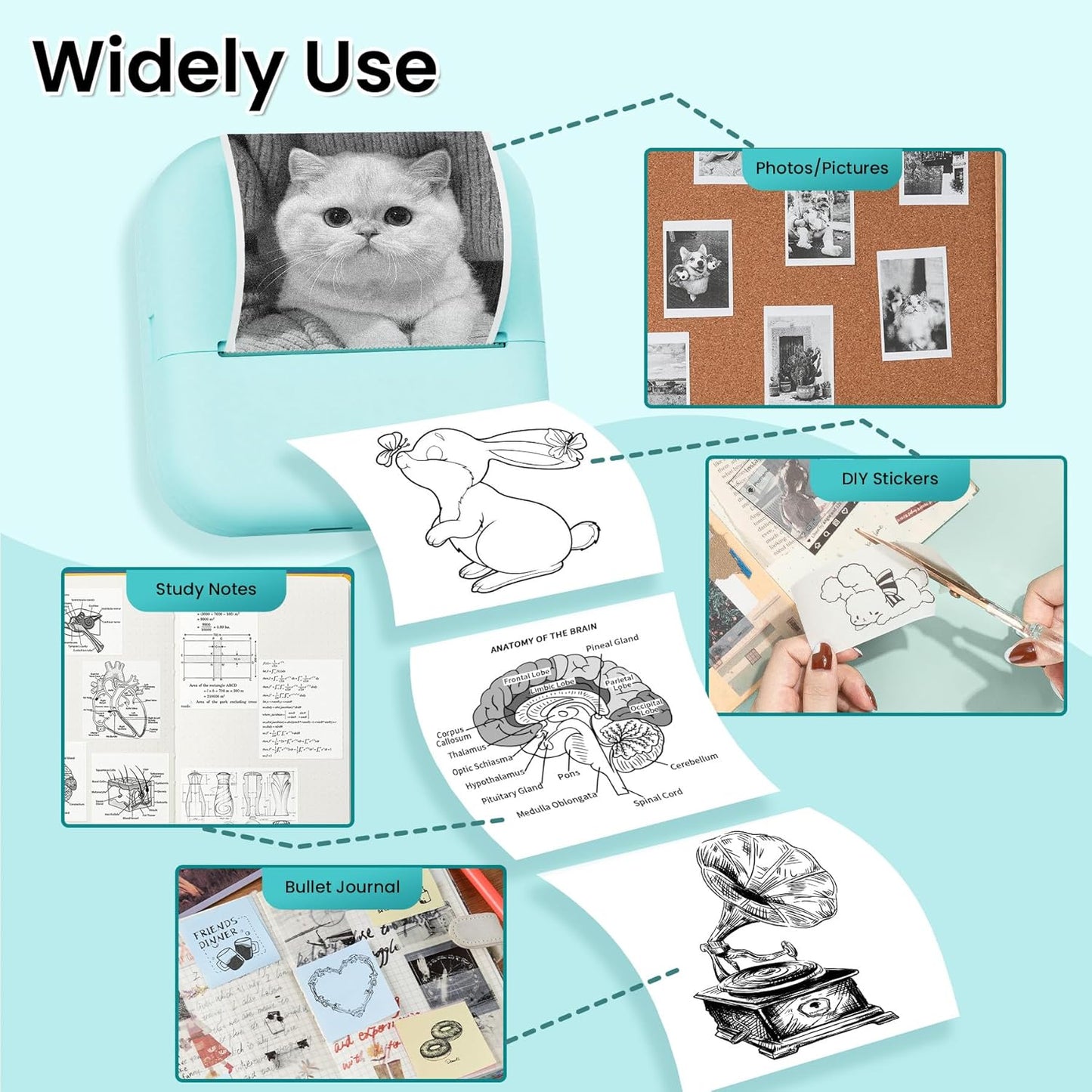 Sticker Printer, Print Pods Mini Printer, Mini Sticker Maker Compatible with Phone & Tablet, M02L Print Pods Mini Printer for School Notes, Scrapbook, Anatomical Diagram